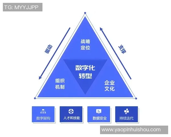 广州乒乓球队转型之路：从传统强队到现代化竞技新模式的深度解析