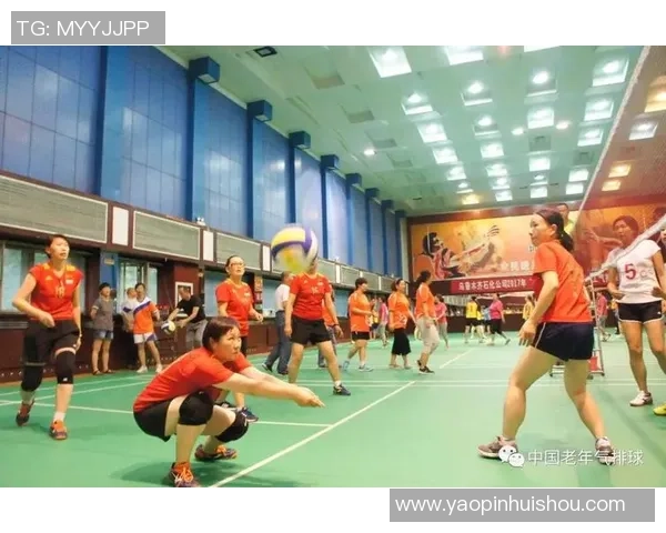 杭州排球队精英赛心理素质分析与表现评估